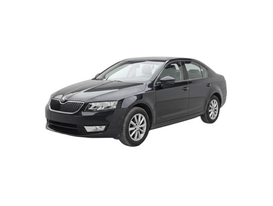Skoda Özel Servis